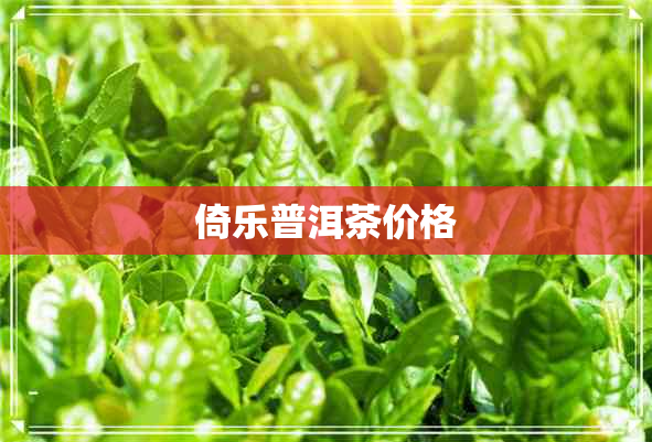 倚乐普洱茶价格