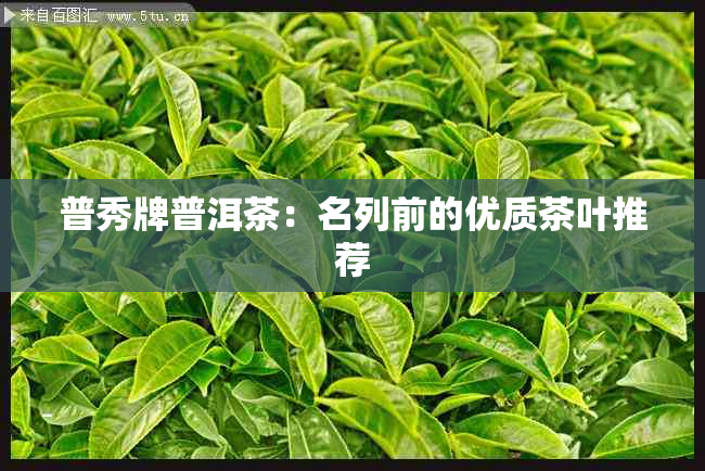 普秀牌普洱茶：名列前的优质茶叶推荐