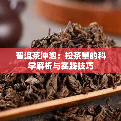 普洱茶冲泡：投茶量的科学解析与实践技巧