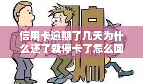 信用卡逾期了几天为什么还了就停卡了怎么回事？