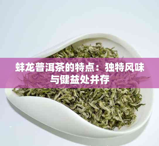 蚌龙普洱茶的特点：独特风味与健益处并存