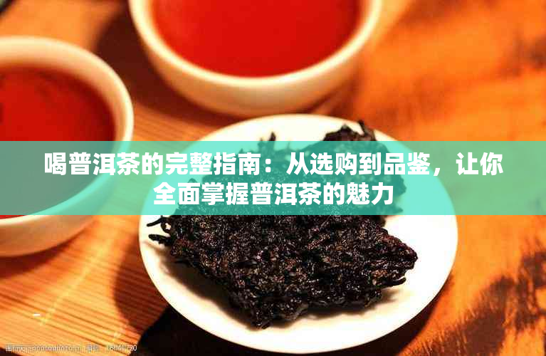 喝普洱茶的完整指南：从选购到品鉴，让你全面掌握普洱茶的魅力