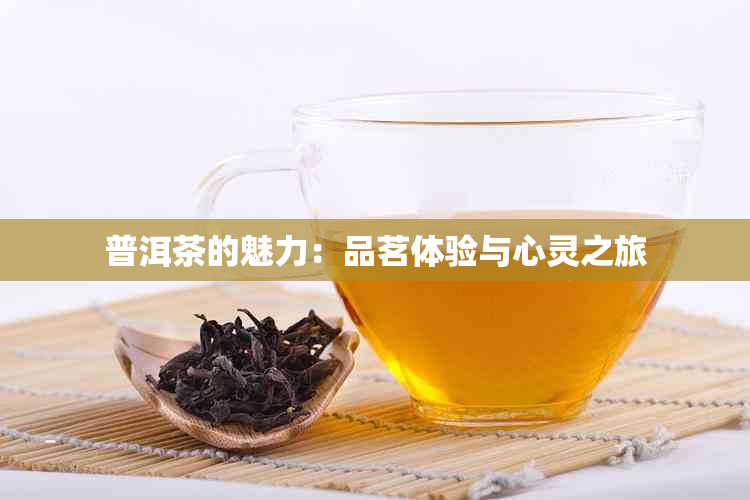 普洱茶的魅力：品茗体验与心灵之旅