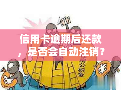 信用卡逾期后还款，是否会自动注销？还有其他处理方式吗？