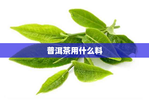 普洱茶用什么料