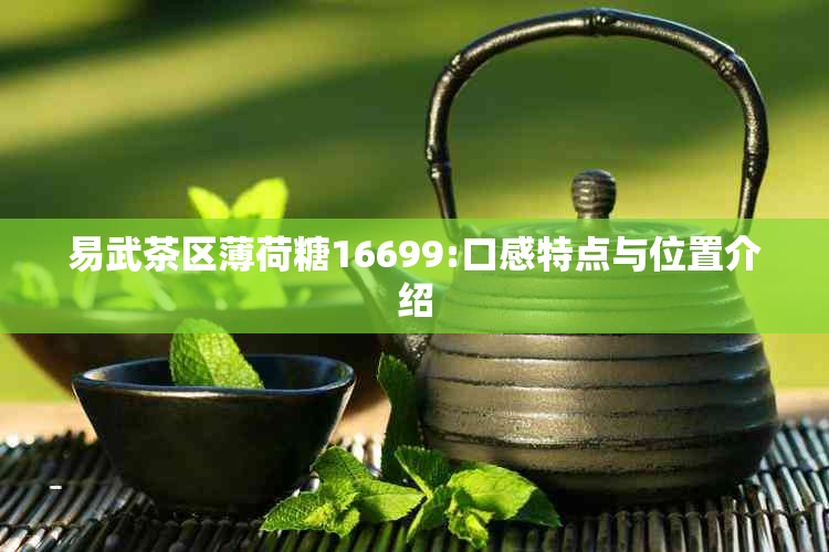 易武茶区薄荷糖16699:口感特点与位置介绍