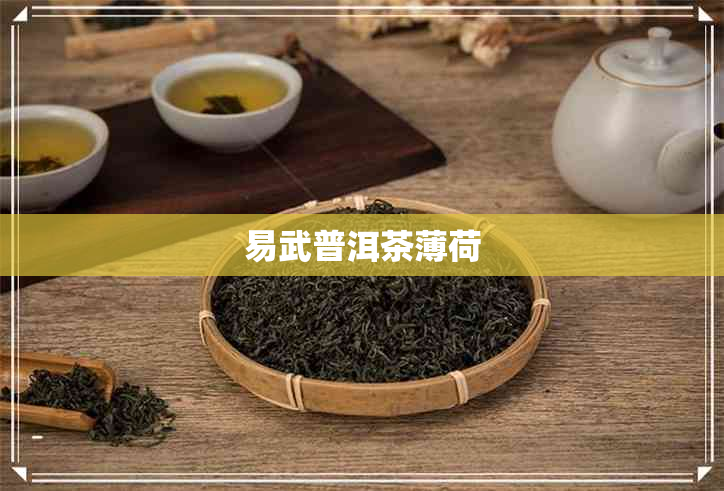 易武普洱茶薄荷