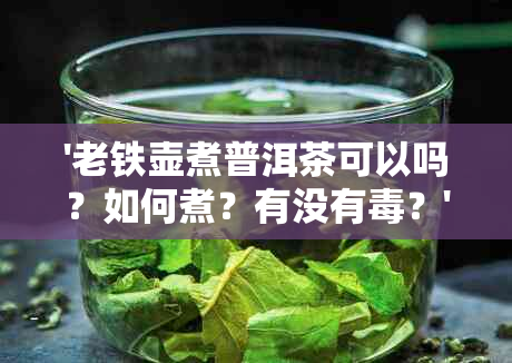 '老铁壶煮普洱茶可以吗？如何煮？有没有？'