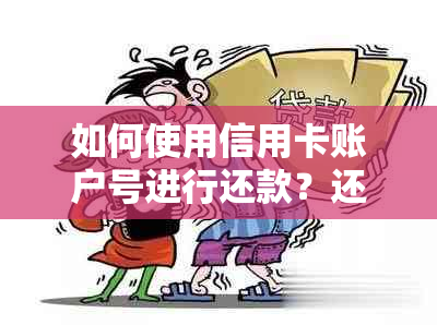 如何使用信用卡账户号进行还款？还有哪些方式可以还款？