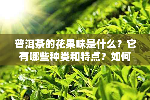 普洱茶的花果味是什么？它有哪些种类和特点？如何品尝与搭配？