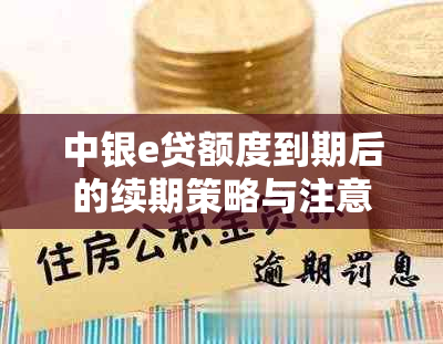 中银e贷额度到期后的续期策略与注意事项