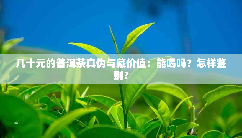 几十元的普洱茶真伪与藏价值：能喝吗？怎样鉴别？