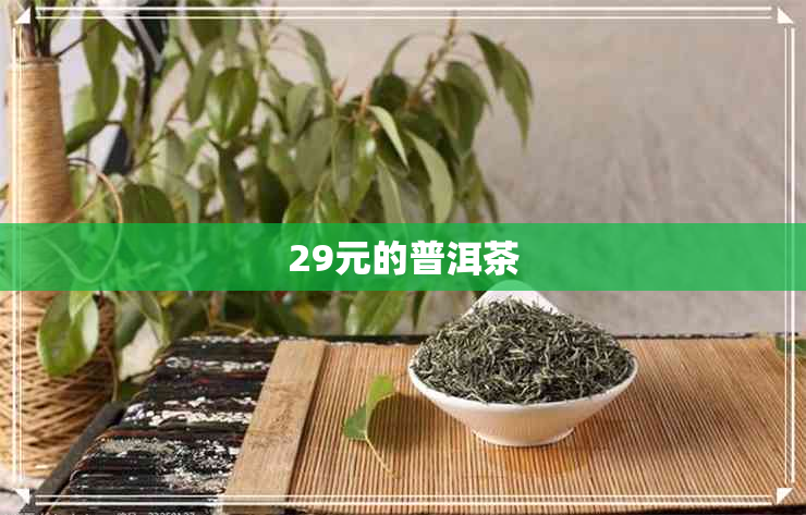 29元的普洱茶