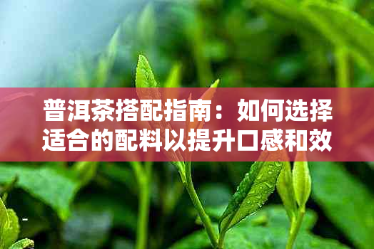 普洱茶搭配指南：如何选择适合的配料以提升口感和效果