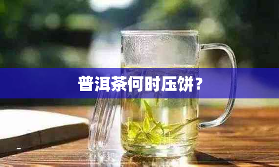 普洱茶何时压饼？