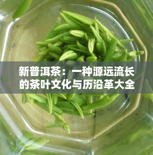 新普洱茶：一种源远流长的茶叶文化与历沿革大全