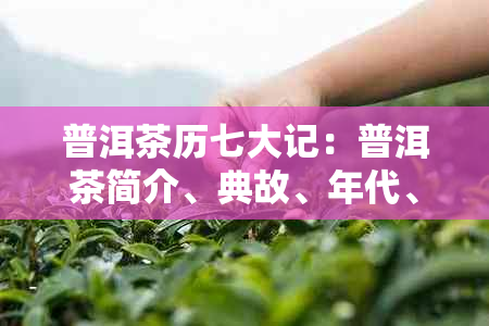 普洱茶历七大记：普洱茶简介、典故、年代、渊源