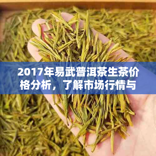 2017年易武普洱茶生茶价格分析，了解市场行情与品质