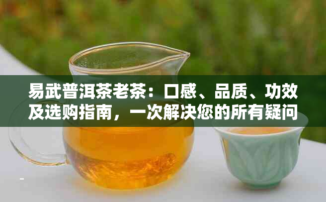 易武普洱茶老茶：口感、品质、功效及选购指南，一次解决您的所有疑问