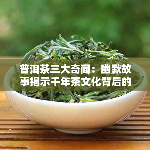 普洱茶三大奇闻：幽默故事揭示千年茶文化背后的秘密