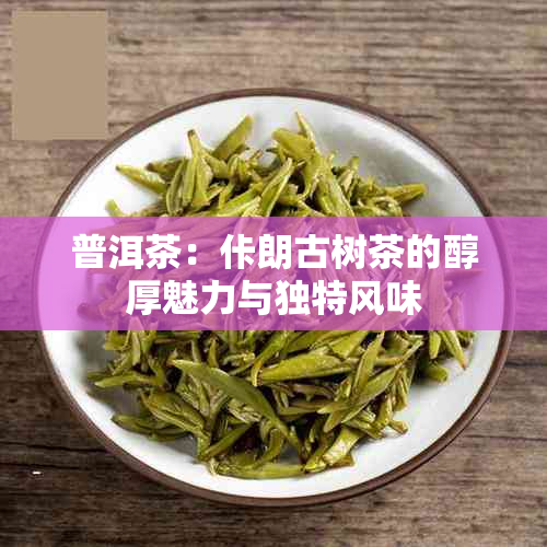 普洱茶：佧朗古树茶的醇厚魅力与独特风味