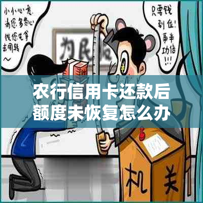 农行信用卡还款后额度未恢复怎么办？