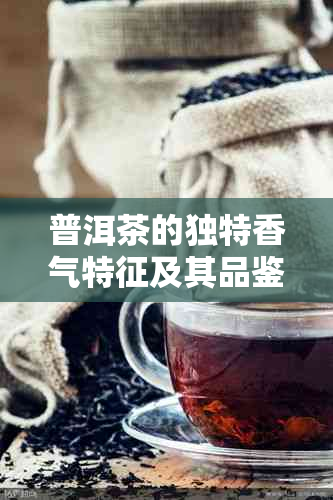 普洱茶的独特香气特征及其品鉴技巧