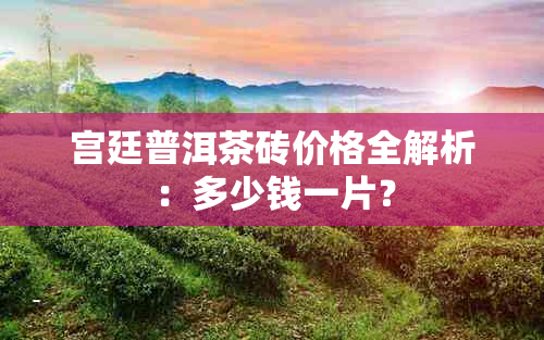 宫廷普洱茶砖价格全解析：多少钱一片？