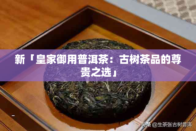 新「皇家御用普洱茶：古树茶品的尊贵之选」