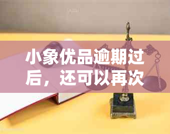 小象优品逾期过后，还可以再次借款吗？在其他平台借钱是否可行？