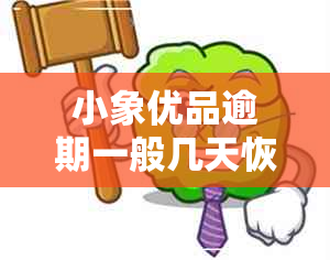 小象优品逾期一般几天恢复