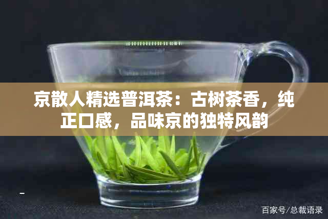 京散人精选普洱茶：古树茶香，纯正口感，品味京的独特风韵