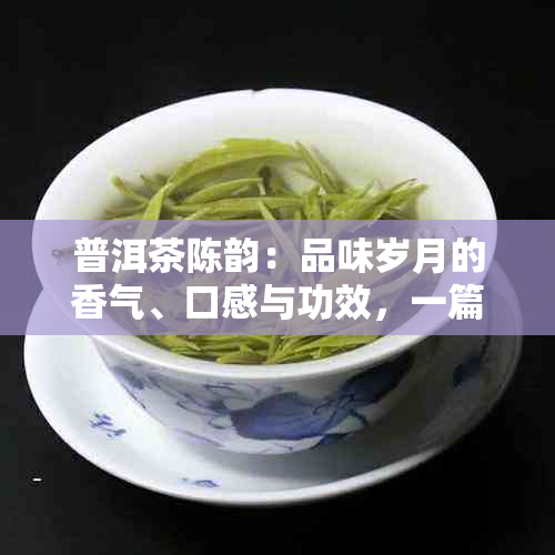 普洱茶陈韵：品味岁月的香气、口感与功效，一篇全面指南