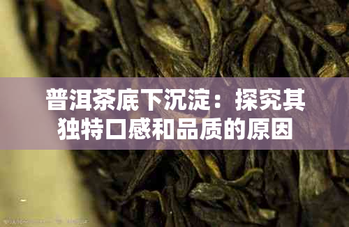 普洱茶底下沉淀：探究其独特口感和品质的原因