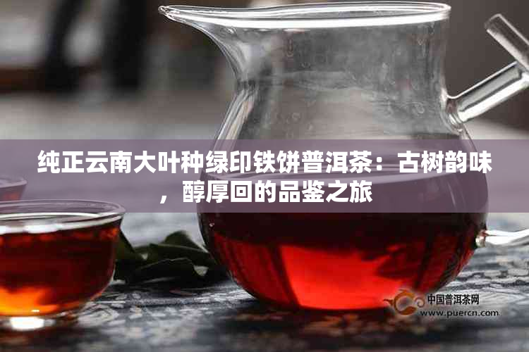 纯正云南大叶种绿印铁饼普洱茶：古树韵味，醇厚回的品鉴之旅