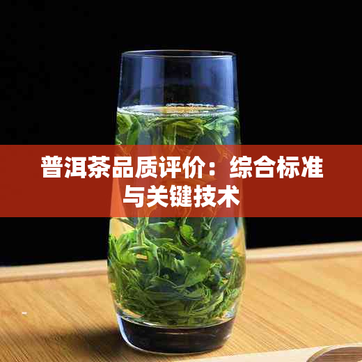 普洱茶品质评价：综合标准与关键技术