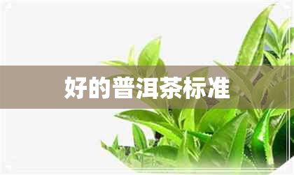 好的普洱茶标准