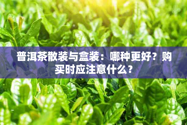 普洱茶散装与盒装：哪种更好？购买时应注意什么？