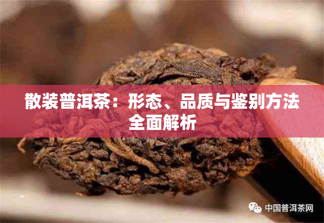 散装普洱茶：形态、品质与鉴别方法全面解析