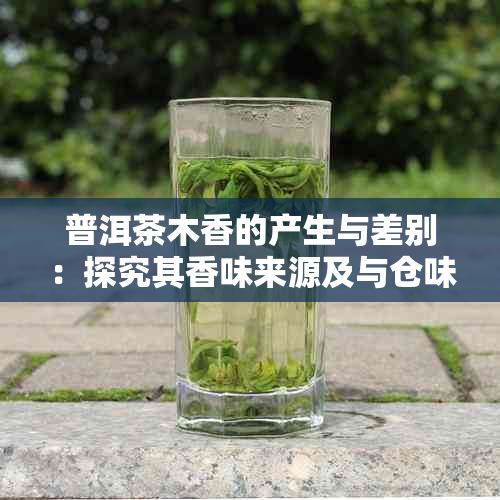 普洱茶木香的产生与差别：探究其香味来源及与仓味的区别