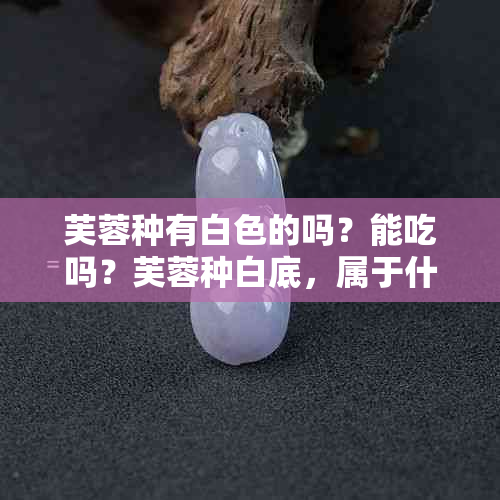 芙蓉种有白色的吗？能吃吗？芙蓉种白底，属于什么价位？