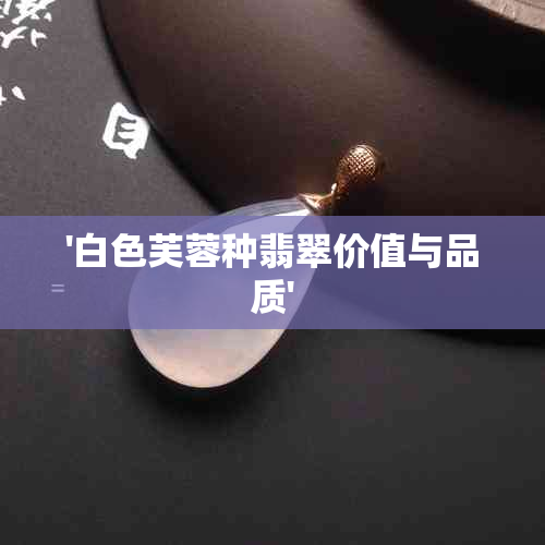 '白色芙蓉种翡翠价值与品质'