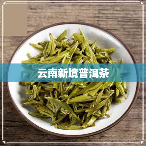 云南新境普洱茶