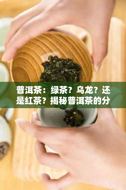 普洱茶：绿茶？乌龙？还是红茶？揭秘普洱茶的分类和特点