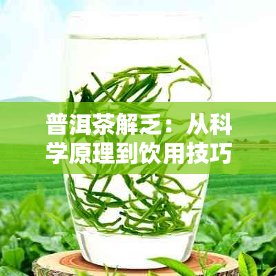 普洱茶解乏：从科学原理到饮用技巧，全面指南助你轻松应对疲劳