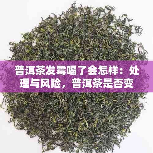 普洱茶发霉喝了会怎样：处理与风险，普洱茶是否变质？