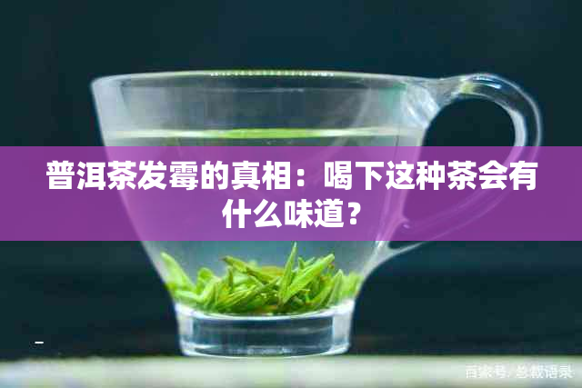 普洱茶发霉的真相：喝下这种茶会有什么味道？