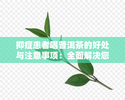 抑症患者喝普洱茶的好处与注意事项：全面解决您的疑虑