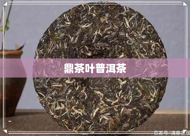 鼎茶叶普洱茶