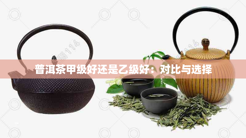 普洱茶甲级好还是乙级好：对比与选择